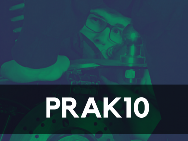 PRAK10 - den korteste vej i job